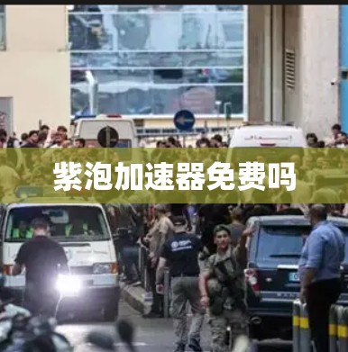 紫泡加速器免费吗