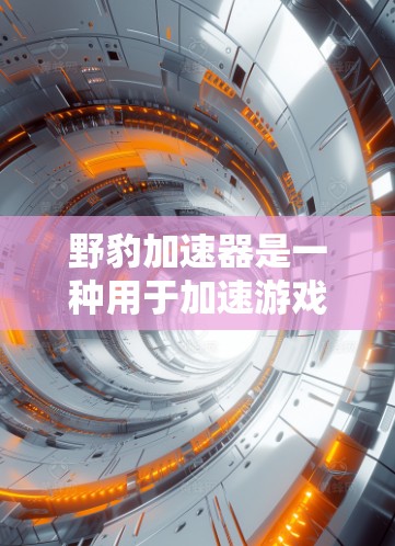 野豹加速器是一种用于加速游戏和提升性能的工具。关于它的APEX功能，通常会以付费形式提供。以下是详细的分析