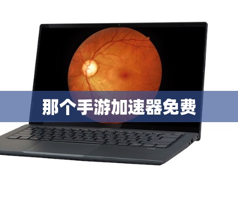 那个手游加速器免费