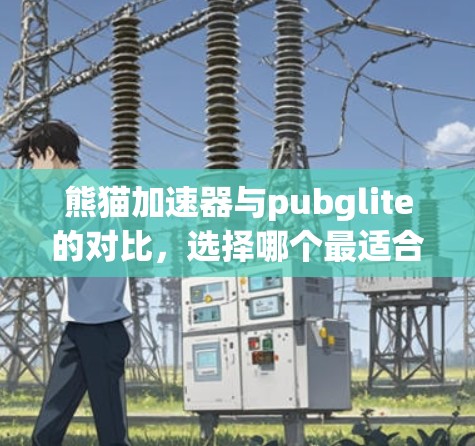 熊猫加速器与pubglite的对比，选择哪个最适合你的需求？