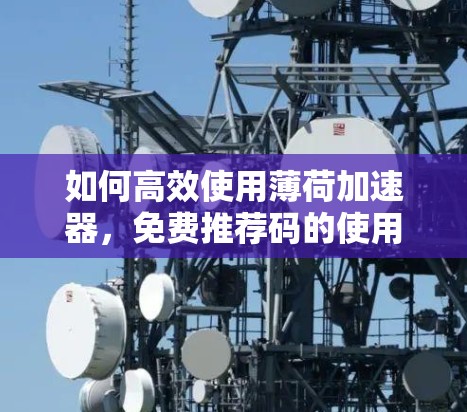 如何高效使用薄荷加速器，免费推荐码的使用指南