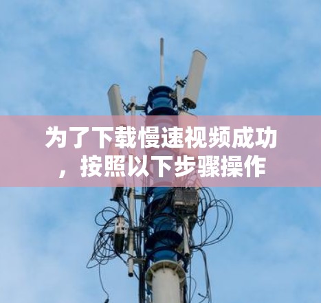 为了下载慢速视频成功,按照以下步骤操作