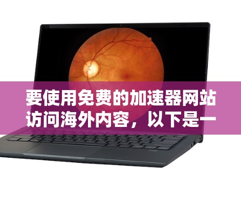 要使用免费的加速器网站访问海外内容，以下是一步步的指南
