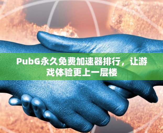 PubG永久免费加速器排行,让游戏体验更上一层楼