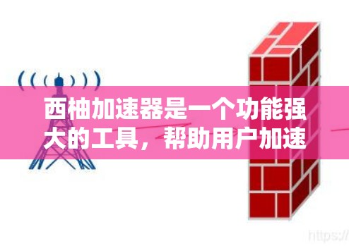 西柚加速器是一个功能强大的工具，帮助用户加速下载速度。以下是关于三个版本的详细分析