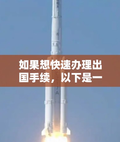 如果想快速办理出国手续，以下是一些有用的信息和步骤