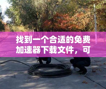 找到一个合适的免费加速器下载文件，可以按照以下步骤进行