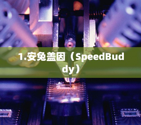 1.安兔盖因（SpeedBuddy）