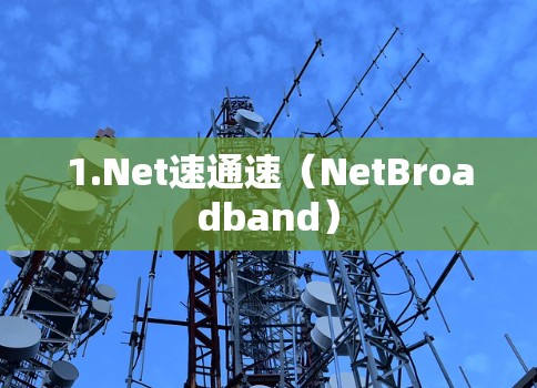 1.Net速通速（NetBroadband）