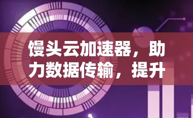 馒头云加速器,助力数据传输,提升效率与速度
