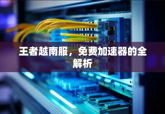 王者越南服，免费加速器的全解析