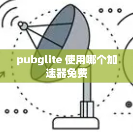 pubglite 使用哪个加速器免费 pubglite 使用哪个加速器免费
