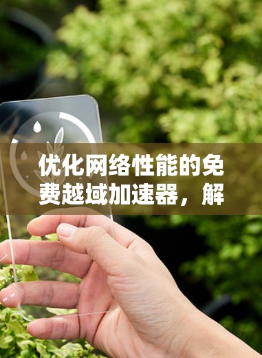 优化网络性能的免费越域加速器，解决网络越域问题的高效解决方案