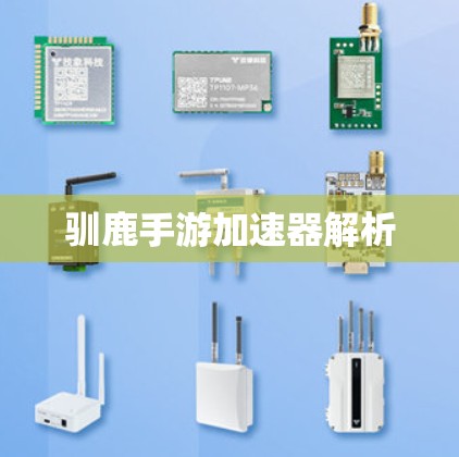 驯鹿手游加速器解析