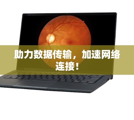 助力数据传输，加速网络连接！
