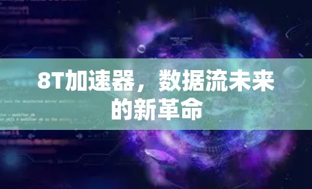 8T加速器,数据流未来的新革命