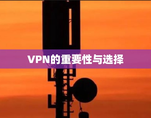 VPN的重要性与选择