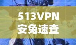513VPN安兔速查,优化下载 Android 应用
