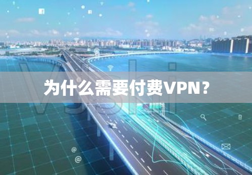 为什么需要付费VPN?