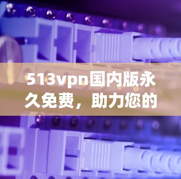 513vpn国内版永久免费,助力您的通信服务扩展