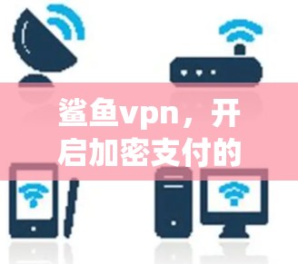 鲨鱼vpn,开启加密支付的新纪元