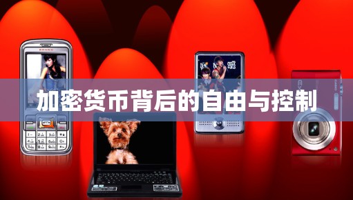 加密货币背后的自由与控制