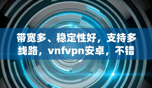 带宽多、稳定性好,支持多线路,vnfvpn安卓,不错的选择