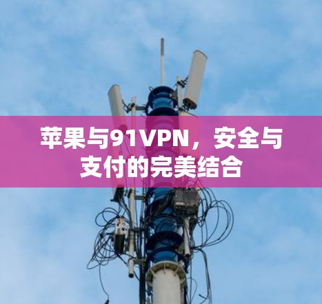 苹果与91VPN,安全与支付的完美结合