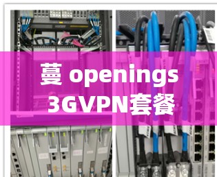 蔓 openings 3GVPN套餐解析，1分钟本地免费，让网络服务更简单！