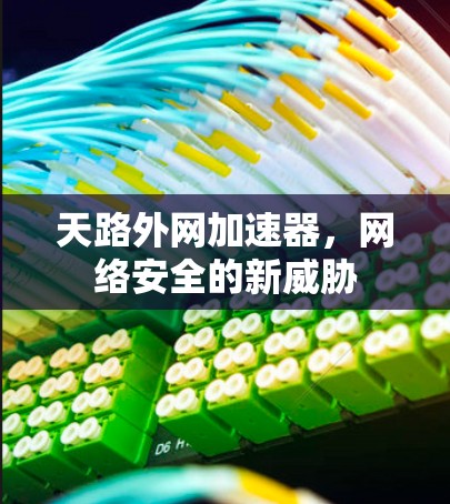 天路外网加速器,网络安全的新威胁