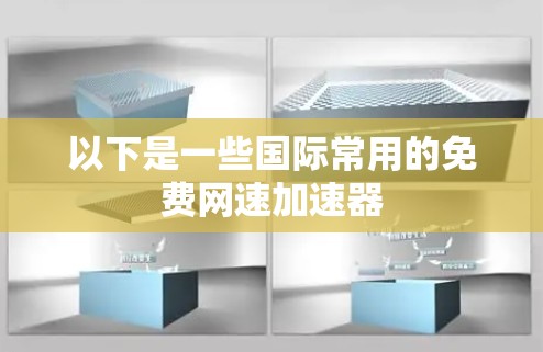 以下是一些国际常用的免费网速加速器