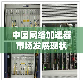 中国网络加速器市场发展现状及未来趋势