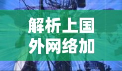 解析上国外网络加速器，提升网络性能的高效解决方案