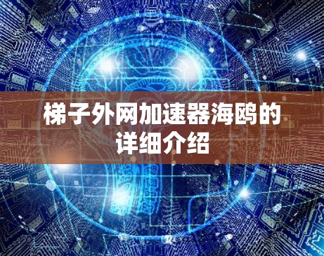 梯子外网加速器海鸥的详细介绍