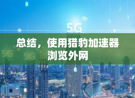 总结,使用猎豹加速器浏览外网