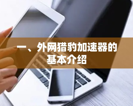 一、外网猎豹加速器的基本介绍