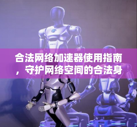 合法网络加速器使用指南,守护网络空间的合法身份