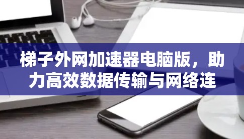 梯子外网加速器电脑版,助力高效数据传输与网络连接