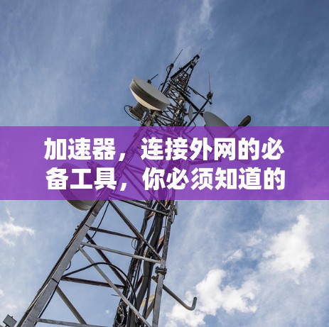 加速器,连接外网的必备工具,你必须知道的