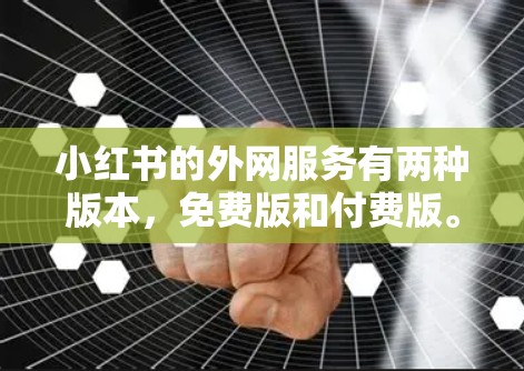 小红书的外网服务有两种版本,免费版和付费版。免费版通常用于基本的上传和下载,而付费版则提供了更稳定的连接速度和更高的性能