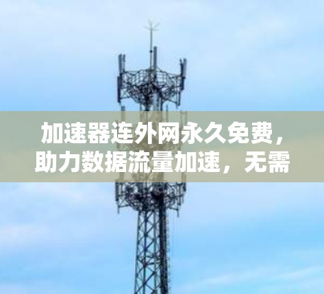 加速器连外网永久免费，助力数据流量加速，无需付费