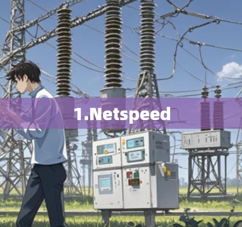 1.Netspeed