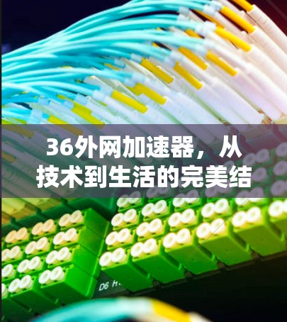36外网加速器，从技术到生活的完美结合