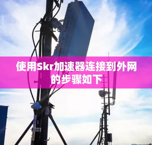 使用Skr加速器连接到外网的步骤如下