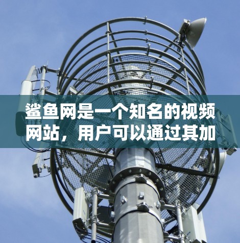鲨鱼网是一个知名的视频网站，用户可以通过其加速器功能来更快地下载视频内容。鲨鱼网的加速器功能可以帮助用户将视频下载到自己或选择的存储服务器上，从而减少等待时间