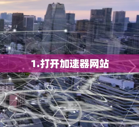 1.打开加速器网站 1.打开加速器网站