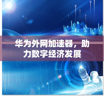 华为外网加速器，助力数字经济发展