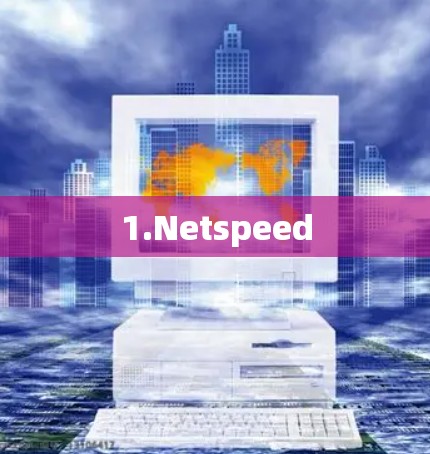 1.Netspeed