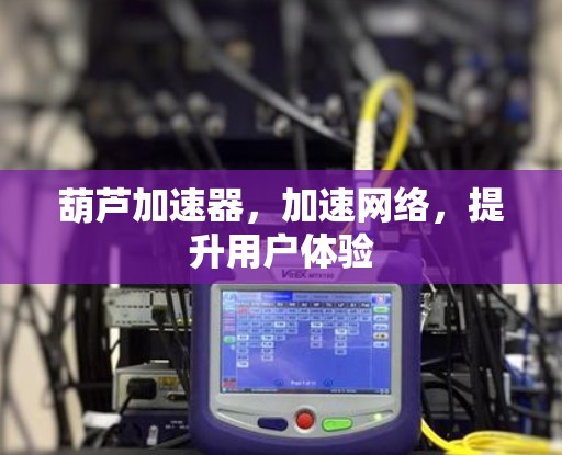 葫芦加速器,加速网络,提升用户体验