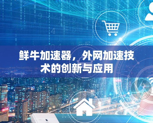 鲜牛加速器,外网加速技术的创新与应用